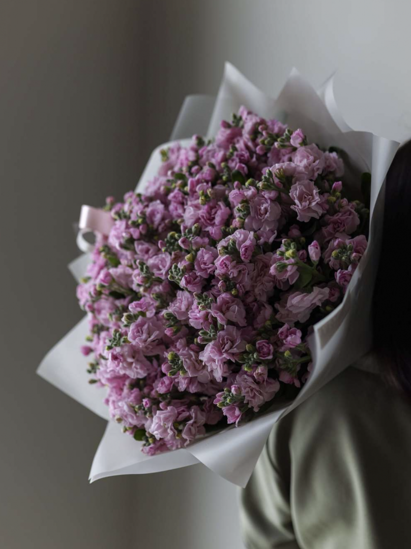 Dreamy Mist: Stocks with a Delicate Fragrance Choose from 30 to 700 - Image 4